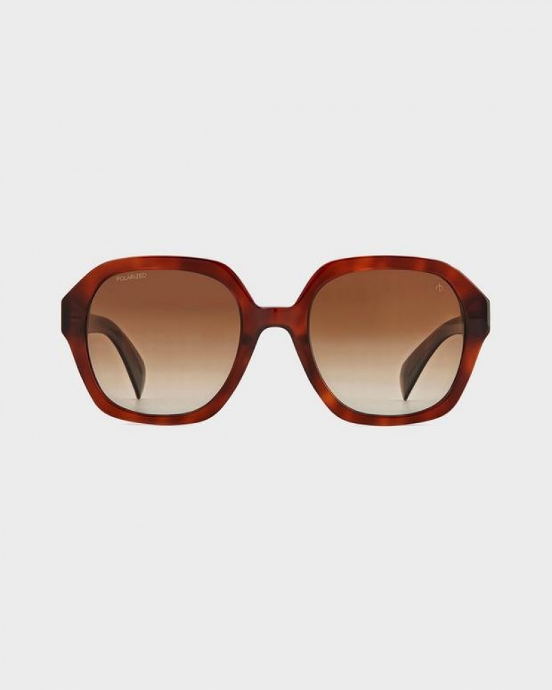 Rag & Bone Elly Butterfly Sonnenbrille Damen Havana | 623175-BDG