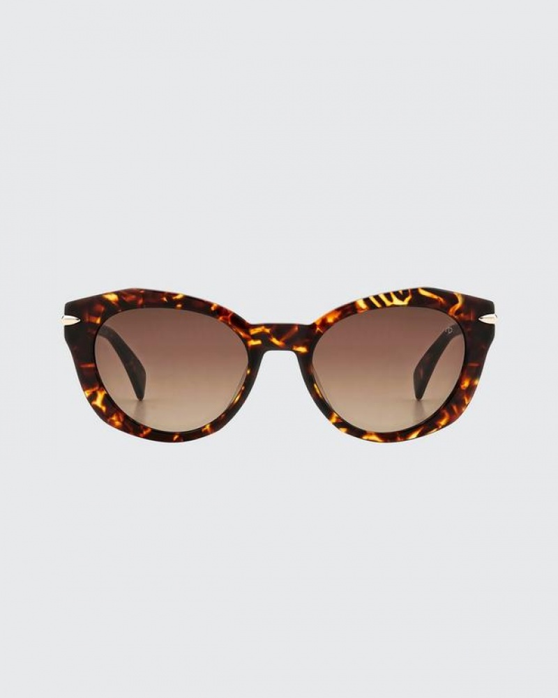 Rag & Bone Lily Square Sonnenbrille Damen Havana | 527680-FNO