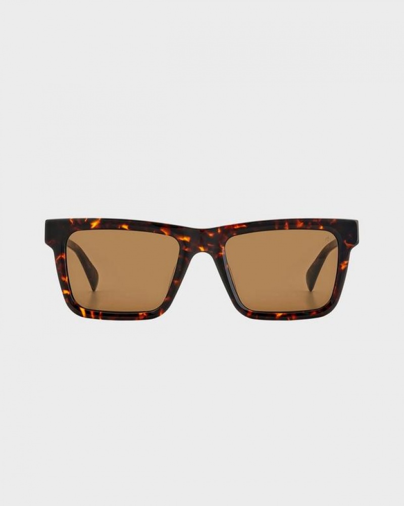 Rag & Bone Warren Rectangular Sonnenbrille Herren Havana | 597842-OXP